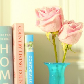 Favorite Bookish Quotes from&nbsp;2012