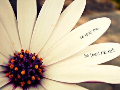 he loves me, he loves me not